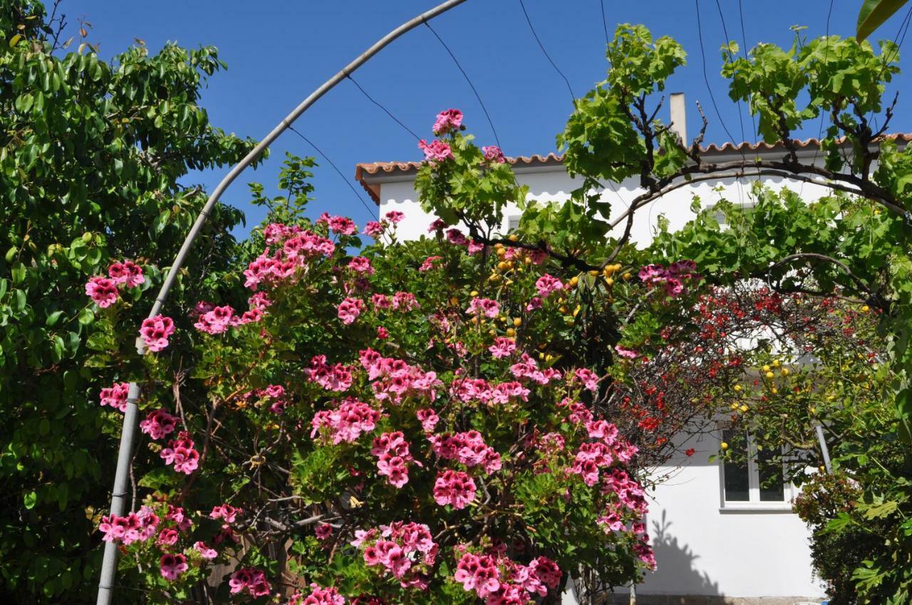 B&B Les Chambres Rooms & Suite Santa Teresa Gallura Kültér fotó
